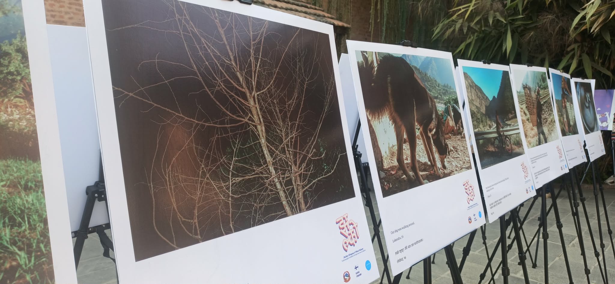 बालबालिकाले खिचेका फोटा : संकटमा पनि सिकाइ निरन्तरताको प्रयास