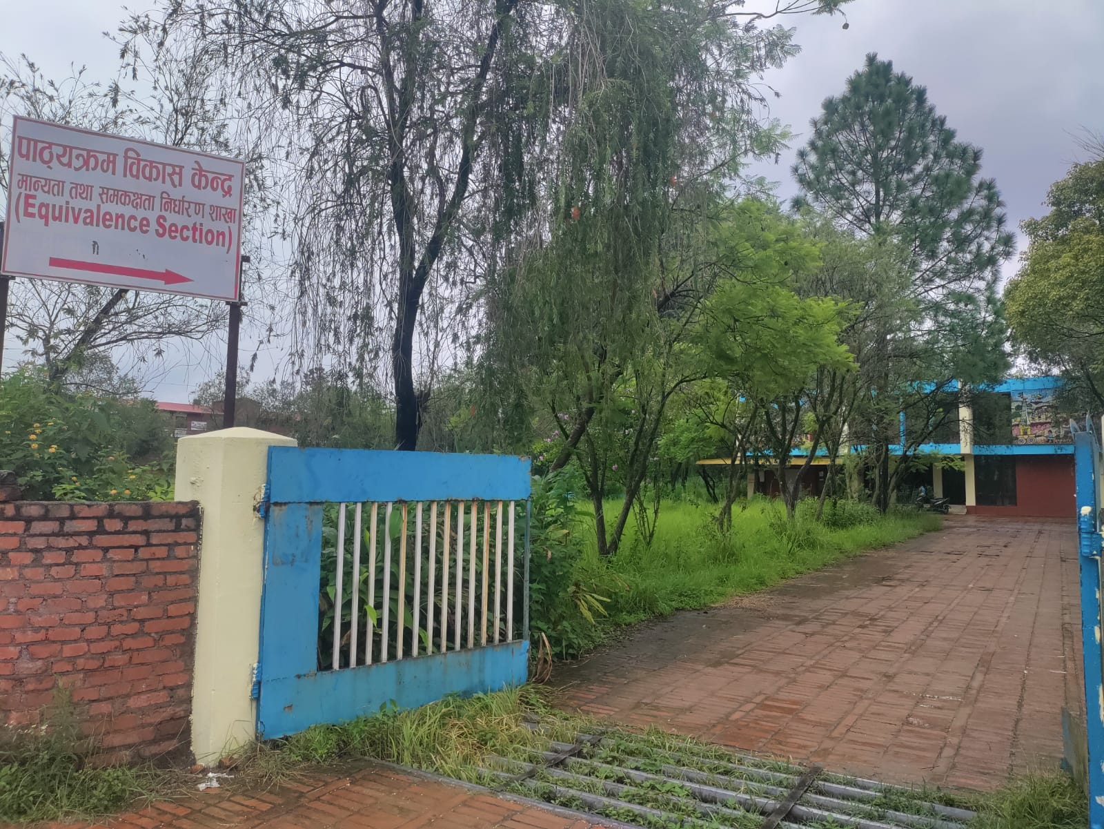 सांसदले घुस दिएको आरोप गलत, सहयोग गरेको सेवाग्राहीलाई नै बिचौलियाको बिल्ला